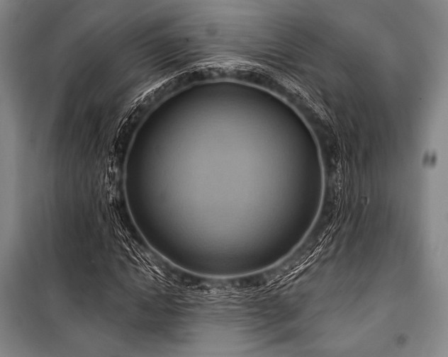 X0000101160822200806271007