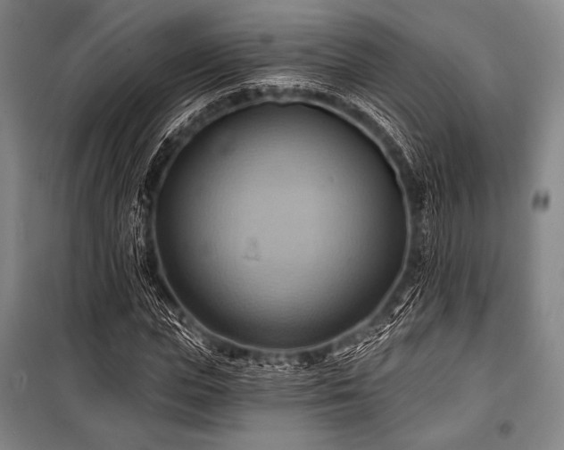 X0000101160823200806271007