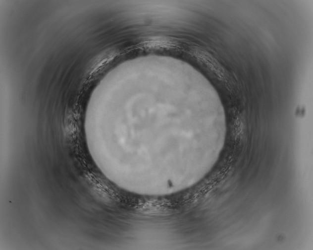 X0000101160824200806271007