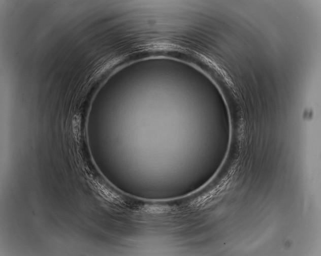 X0000101160825200806271007