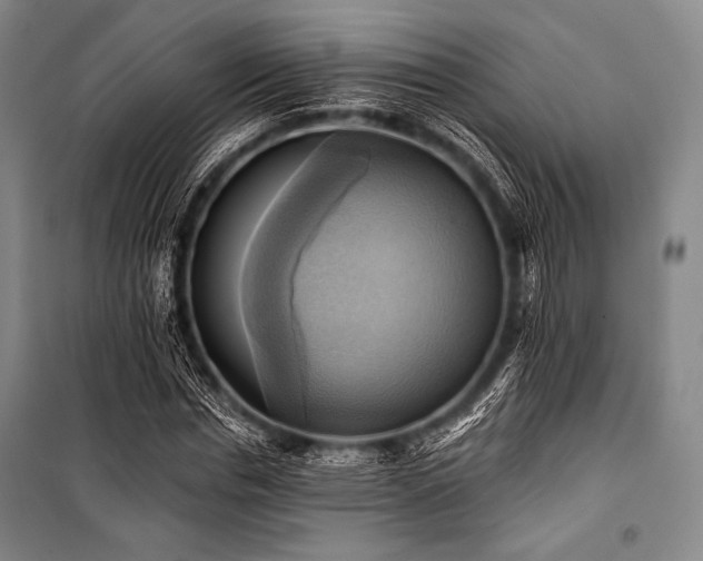 X0000101160826200806271007