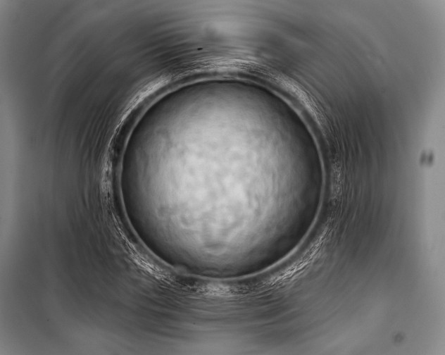 X0000101160827200806271007