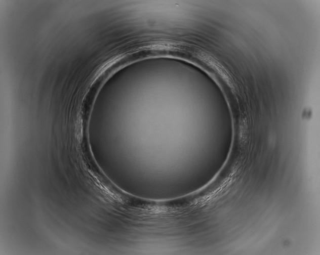 X0000101160829200806271007