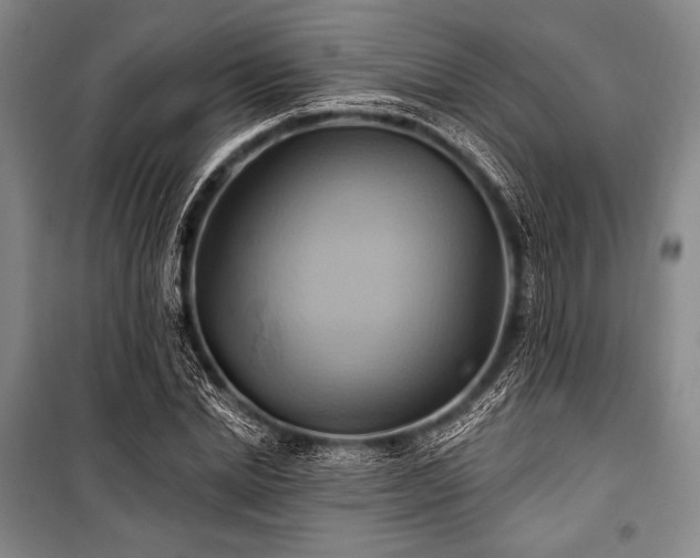 X0000101160830200806271007