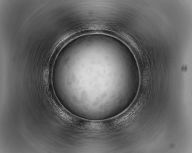X0000101160831200806271007
