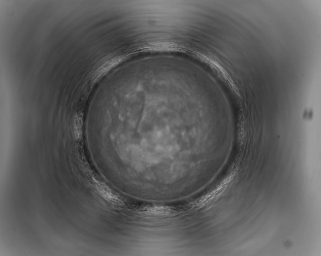 X0000101160833200806271007