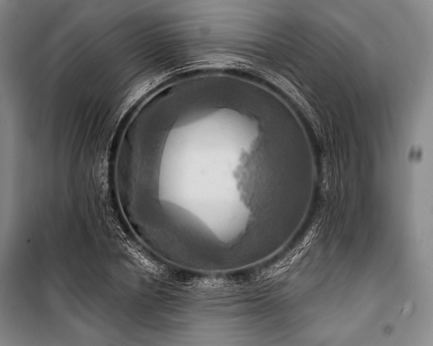 X0000101160834200806271007