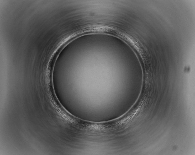 X0000101160835200806271007