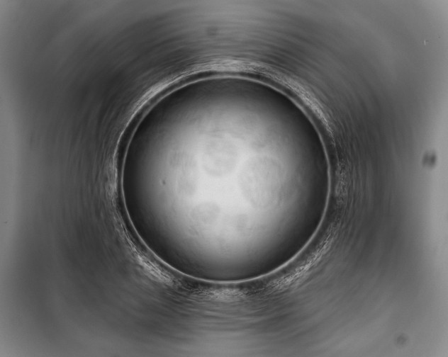 X0000101160837200806271008