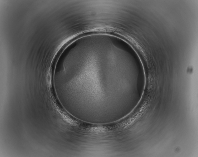 X0000101160838200806271008