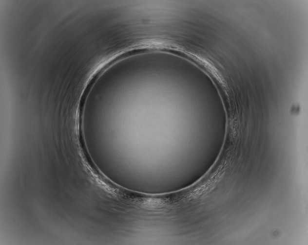 X0000101160839200806271008