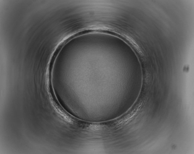 X0000101160840200806271008