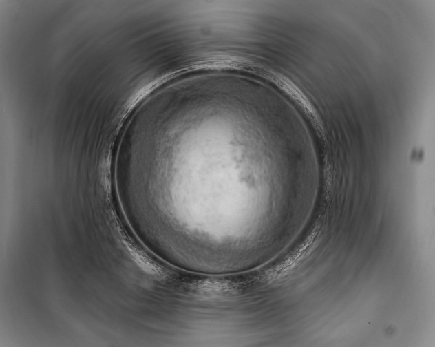 X0000101160842200806271008