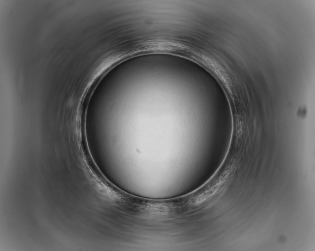 X0000101160843200806271008