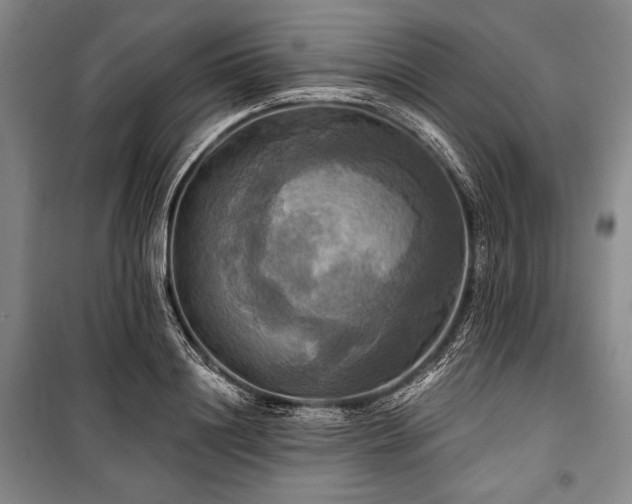 X0000101160844200806271008