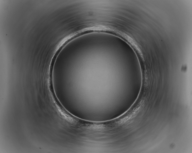 X0000101160845200806271008
