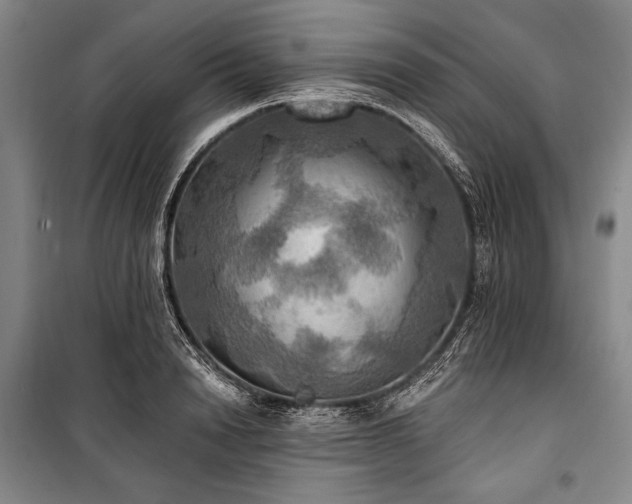X0000101160846200806271008