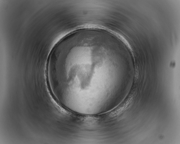 X0000101160847200806271008