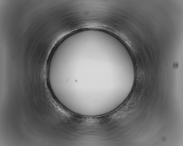 X0000101160848200806271008
