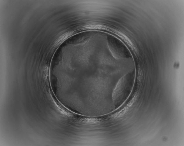 X0000101160849200806271008