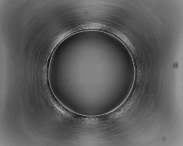 X0000101160850200806271008