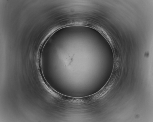 X0000101160851200806271008