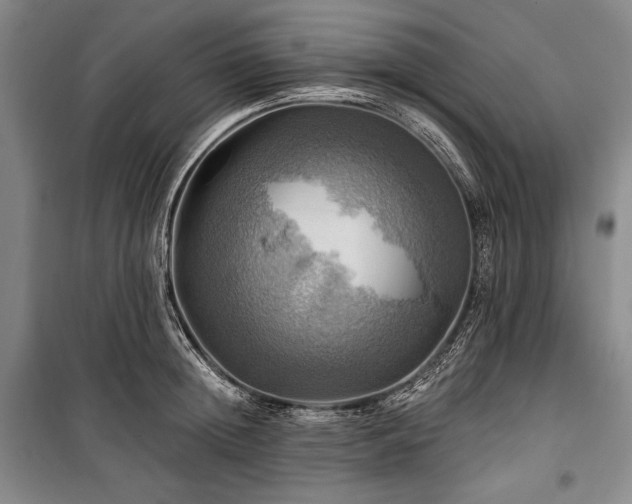 X0000101160852200806271008