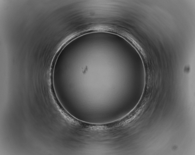 X0000101160853200806271008