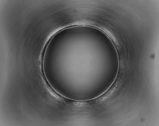 X0000101160854200806271008
