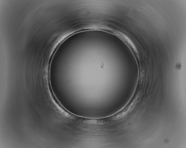X0000101160855200806271008