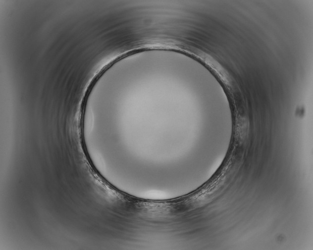 X0000101160856200806271008