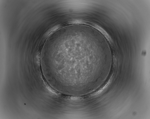 X0000101160857200806271008