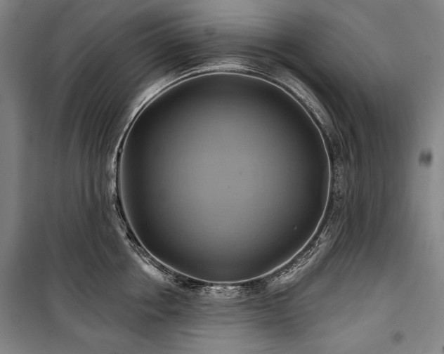 X0000101160858200806271008