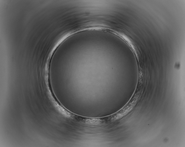 X0000101160859200806271008