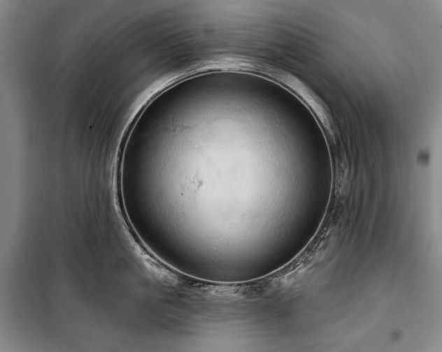 X0000101160861200806271008