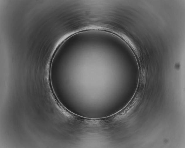 X0000101160862200806271008
