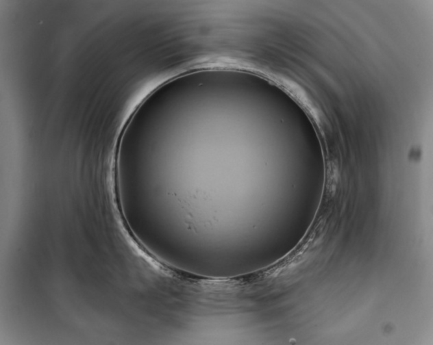 X0000101160863200806271008