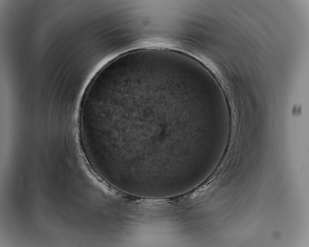 X0000101160864200806271008
