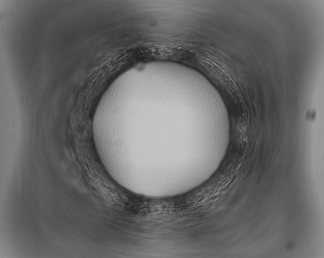 X0000101160865200806271007
