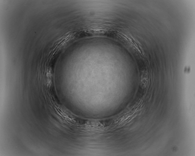 X0000101160866200806271007