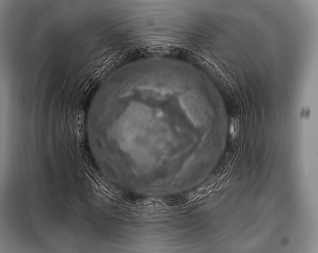 X0000101160867200806271007