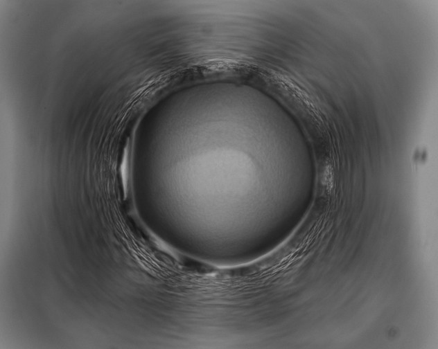 X0000101160868200806271007