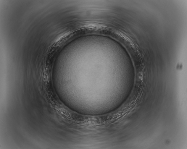 X0000101160869200806271007