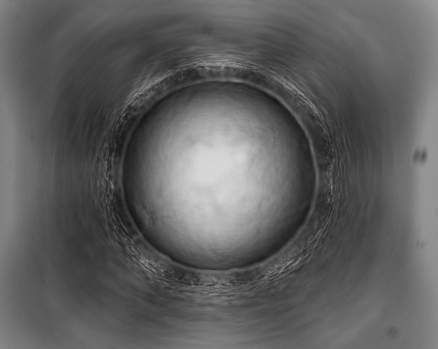 X0000101160870200806271007