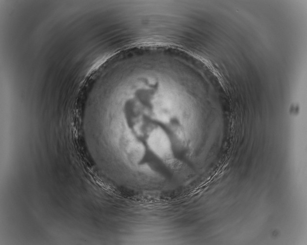 X0000101160871200806271007