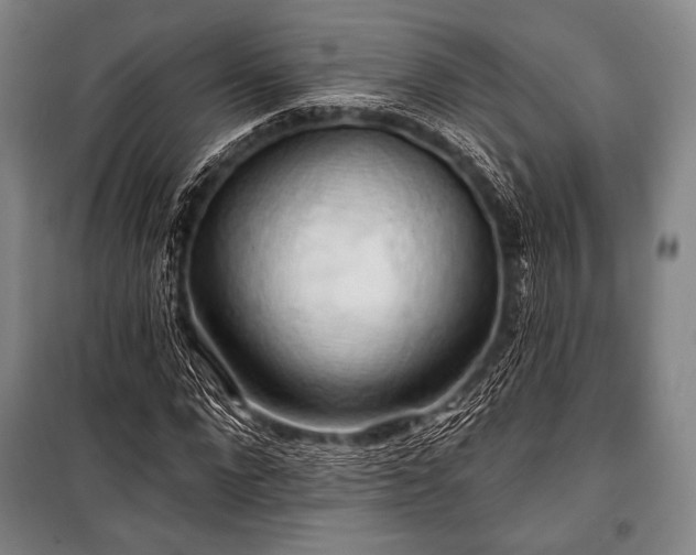 X0000101160872200806271007