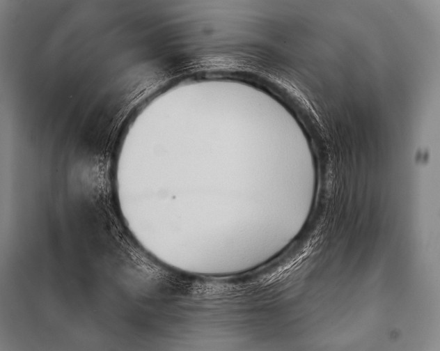 X0000101160873200806271007