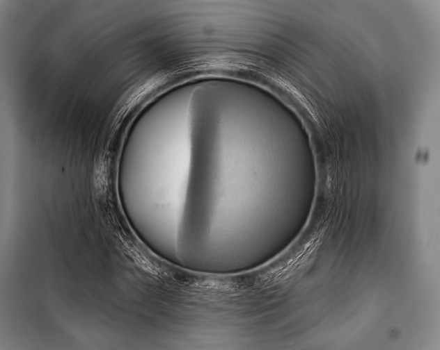 X0000101160874200806271007