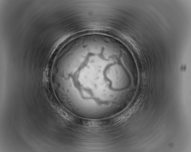 X0000101160875200806271007
