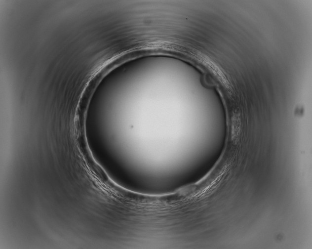 X0000101160876200806271007
